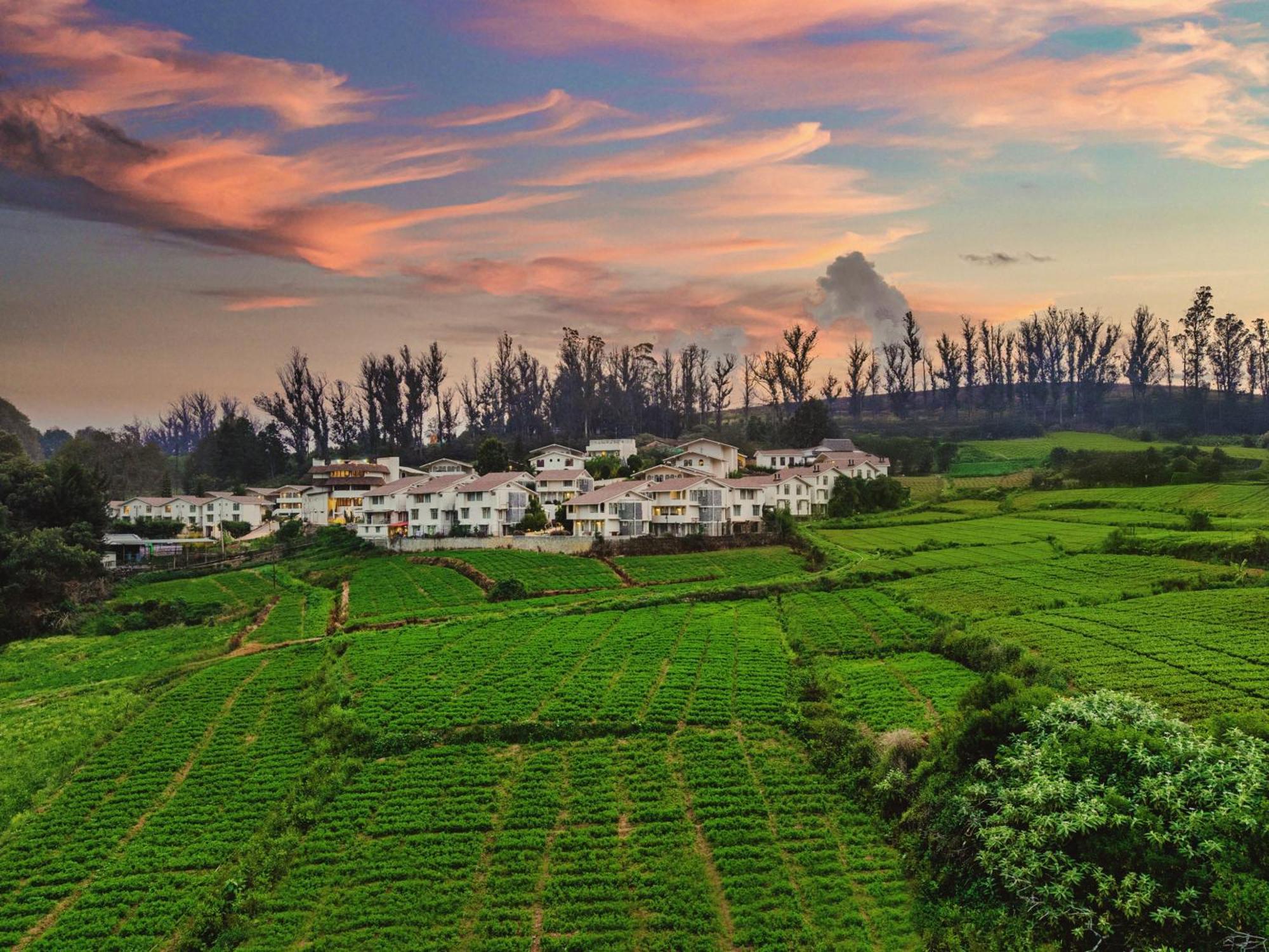 Mango Hill Shola Ooty Hotel Kültér fotó
